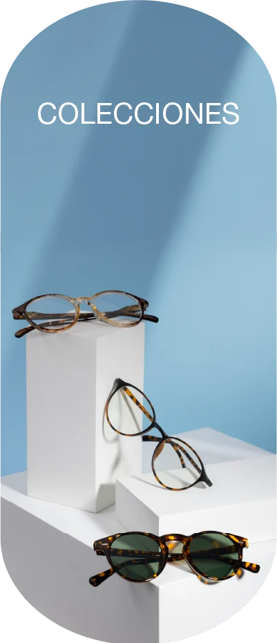 Colecciones — gafas de vista y de sol expuestas